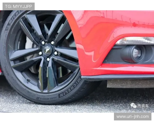 赛道温度与轮胎磨损，巴西站战术决策深度复盘